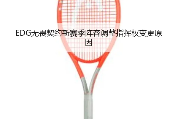 EDG无畏契约新赛季阵容调整指挥权变更原因