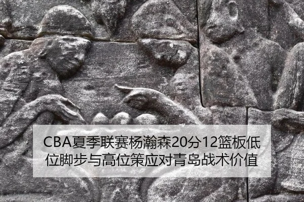 xia-ji-lian-sai-yang-han-sen-fen-lan-ban-di-wei-jiao-bu-yu-gao-wei-ce-ying-dui-qing-dao-zhan-shu-jia-zhi-3-530.jpg