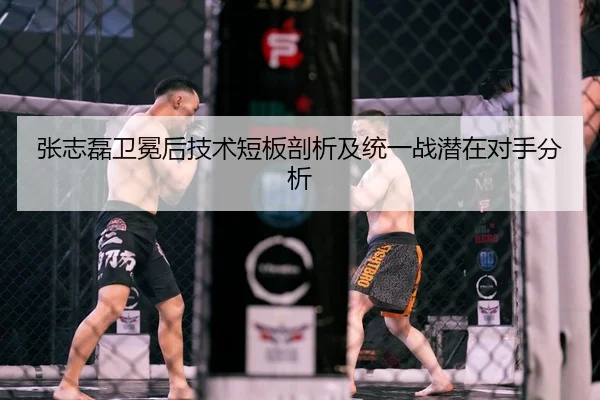 张志磊卫冕后技术短板剖析及统一战潜在对手分析
